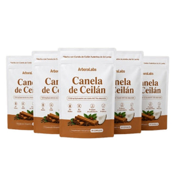 5 meses de ArboraLabs