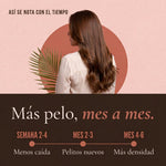 Resultados mes a mes