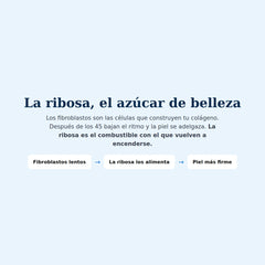Cómo funciona la ribosa sobre los fibroblastos