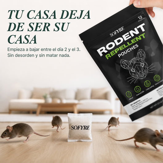 Tu casa deja de ser su casa: empieza a bajar entre el día 2 y el 3